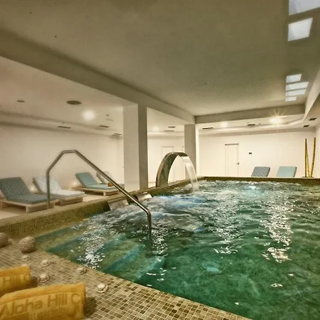 Aloha Hill Club 124 Apartment